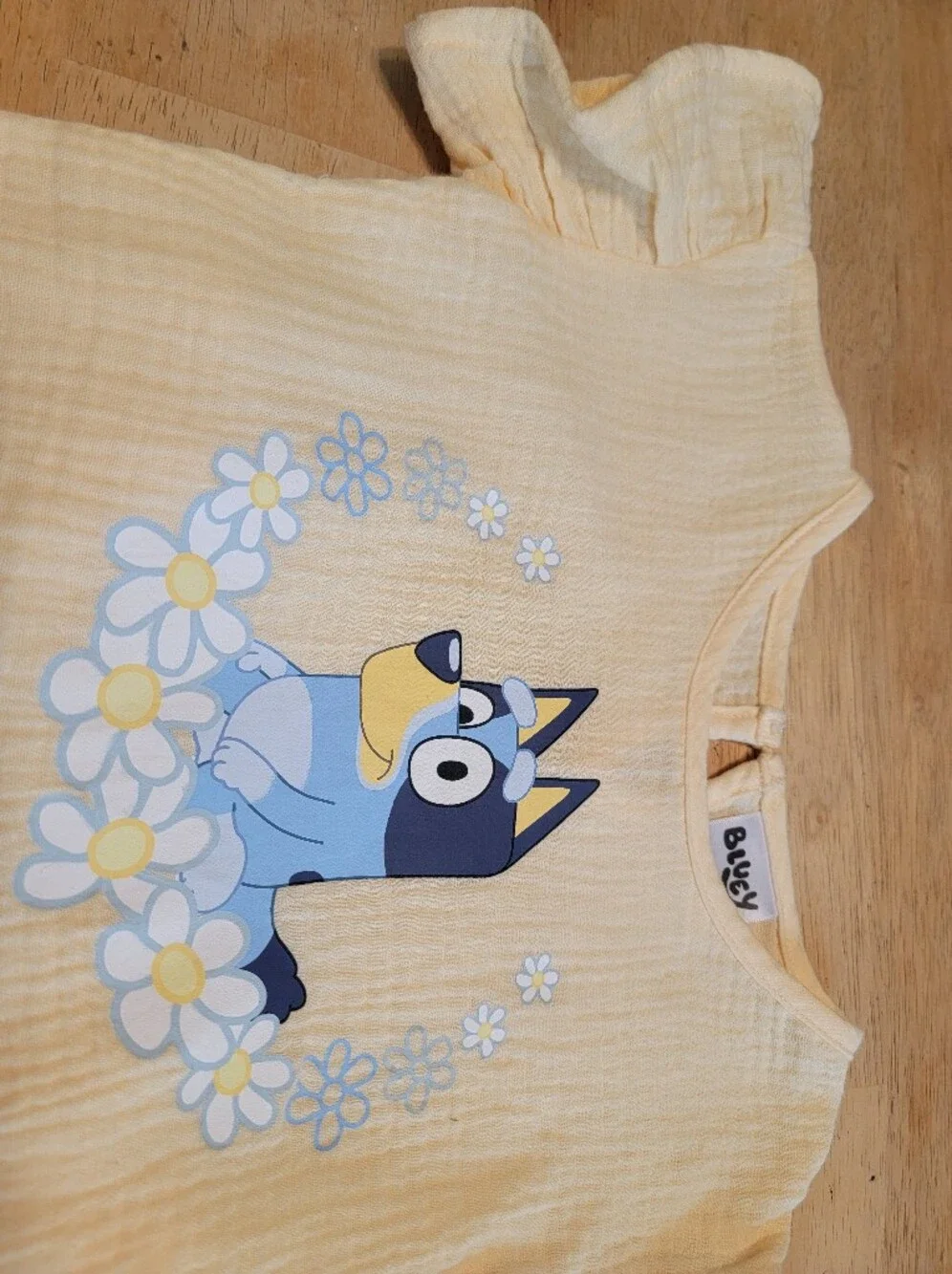 Baby 2-piece Soft Yellow Short Sleeve, Shorts Bluey Set- 12 Months